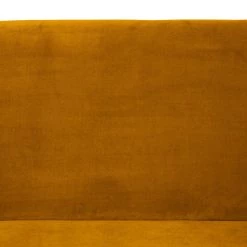 Ridgevalley Canapé Volonne (2 places) - Velours Ravi: Jaune moutarde -Canapés Soldes Magasin 1000227316 210319 14064800201 DETAILS P000000001000227316