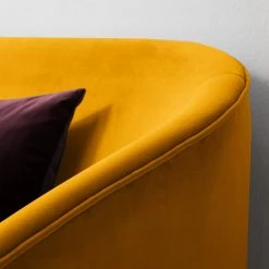 Ridgevalley Canapé Volonne (2 places) - Velours Ravi: Jaune moutarde -Canapés Soldes Magasin 1000227316 210325 07002700158 DETAILS P000000001000227316