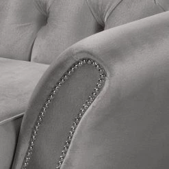 Red Living Canapé Dassel (2 places) - Velours - Velours Onoli: Gris -Canapés Soldes Magasin 1000278205 210715 11330600377 DETAILS P000000001000278205