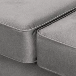 Red Living Canapé Dassel (2 places) - Velours - Velours Onoli: Gris -Canapés Soldes Magasin 1000278205 210715 11330600380 DETAILS P000000001000278205