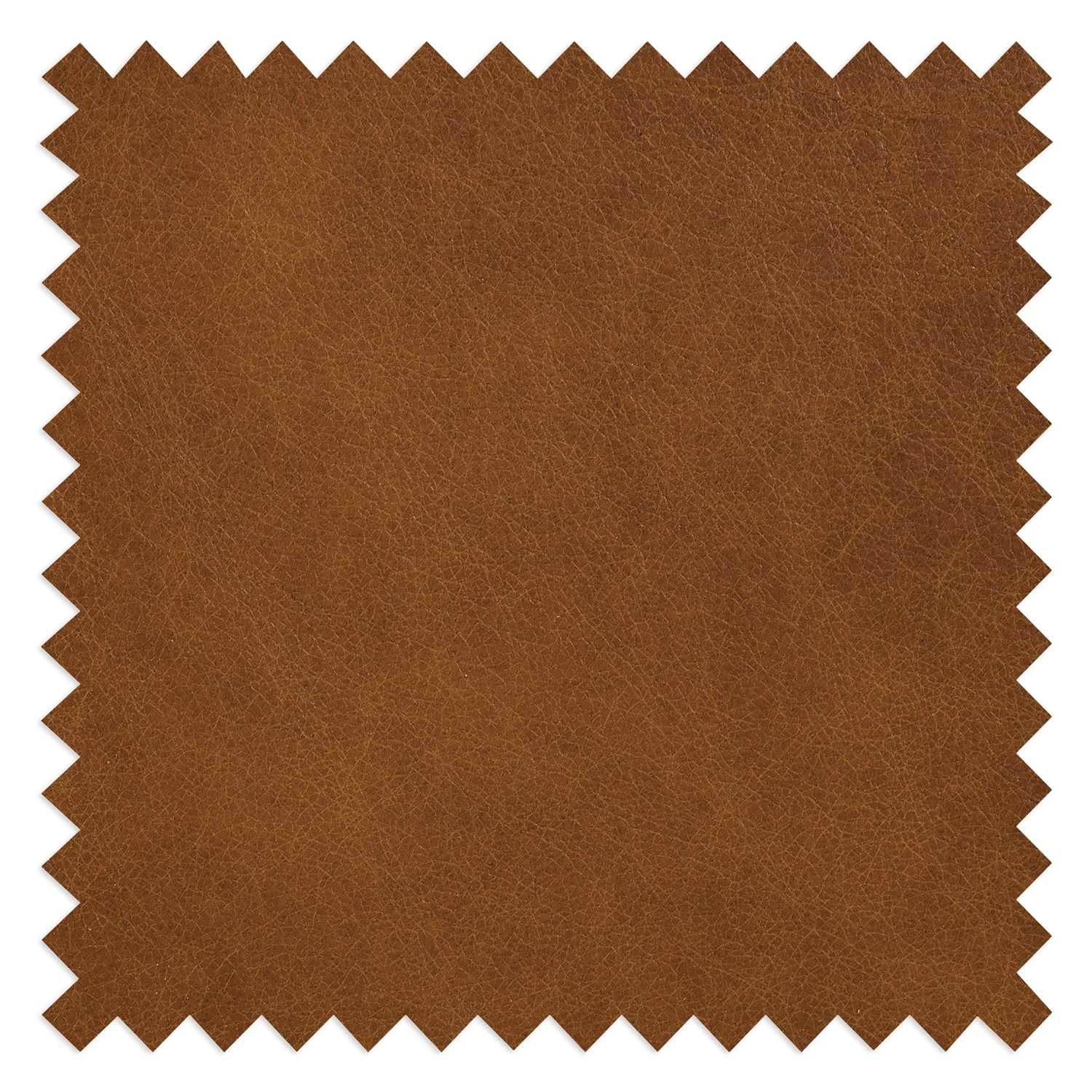 Ars manufacti Canapé d’angle Neuss - Cuir véritable - Cuir Cerys: Marron - Méridienne courte à droite (vue de face) 12 Ars manufacti Canapé d’angle Neuss - Cuir véritable - Cuir Cerys: Marron - Méridienne courte à droite (vue de face) – Image 12